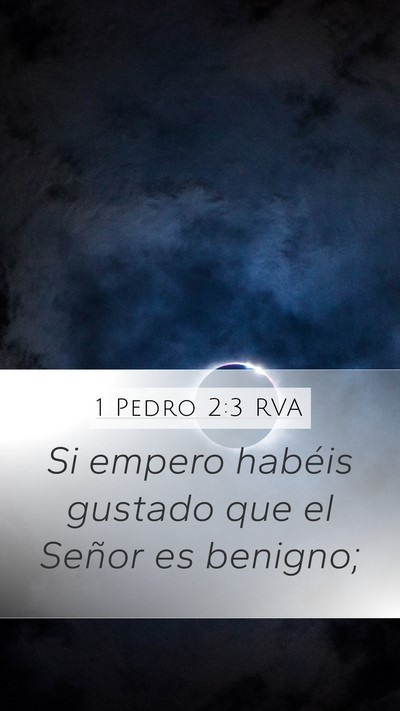 1 Pedro 2:3 RVA Bible Verse Image