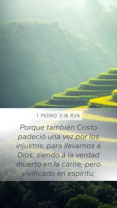1 Pedro 3:18 RVA Bible Verse Image