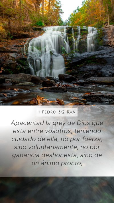 1 Pedro 5:2 RVA Bible Verse Image