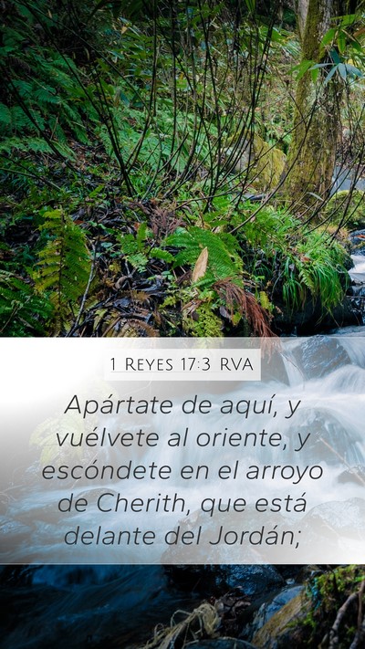 1 Reyes 17:3 RVA Mobile Phone Wallpaper - Apártate de aquí, y vuélvete al oriente, y - Mobile Bible Verse Wallpaper