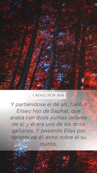 1 Reyes 19:19 RVA Bible Verse Image