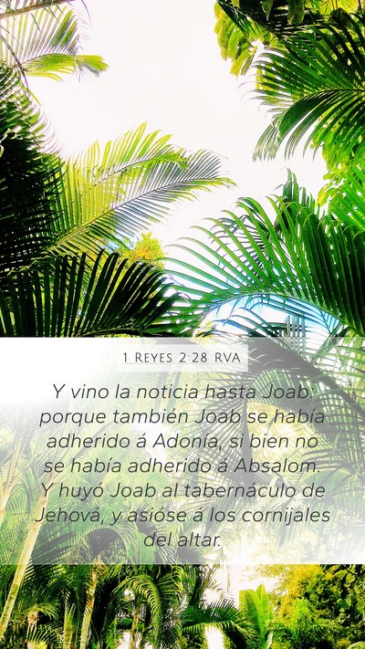 1 Reyes 2:28 RVA Bible Verse Image