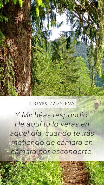 1 Reyes 22:25 RVA Bible Verse Image