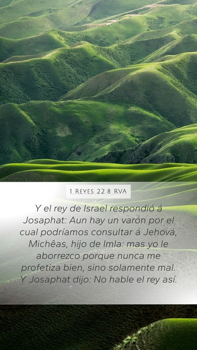 1 Reyes 22:8 RVA Bible Verse Image