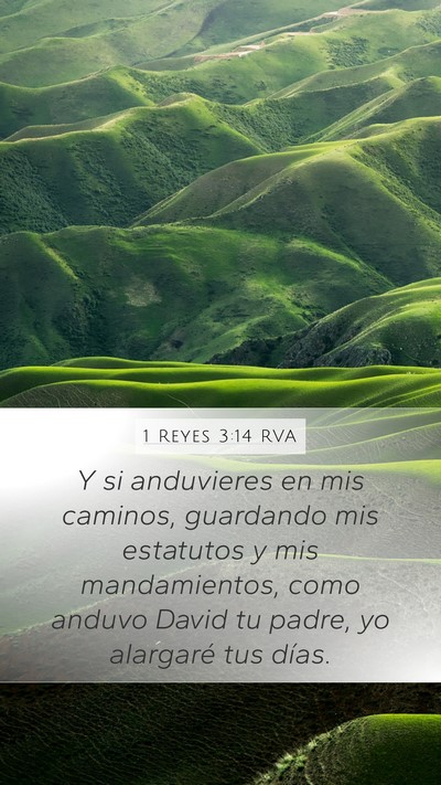 1 Reyes 3:14 RVA Bible Verse Image