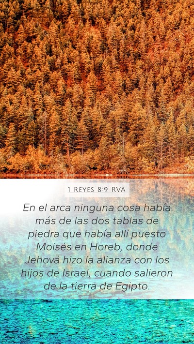 1 Reyes 8:9 RVA Bible Verse Image