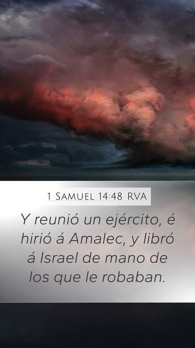 1 Samuel 14:48 RVA Bible Verse Image