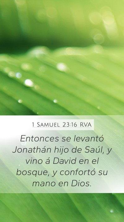 1 Samuel 23:16 RVA Bible Verse Image