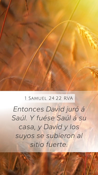 1 Samuel 24:22 RVA Bible Verse Image