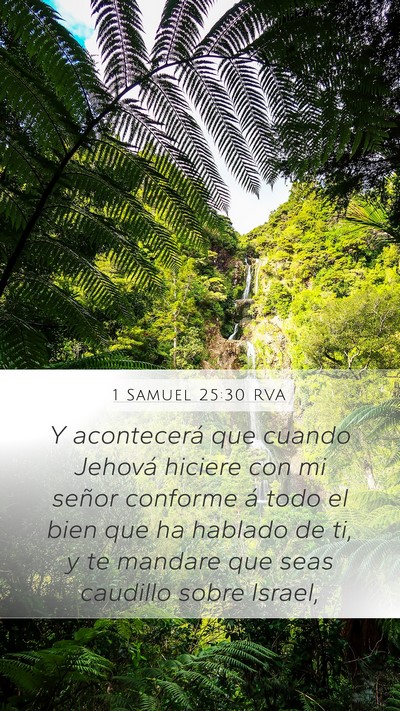 1 Samuel 25:30 RVA Bible Verse Image