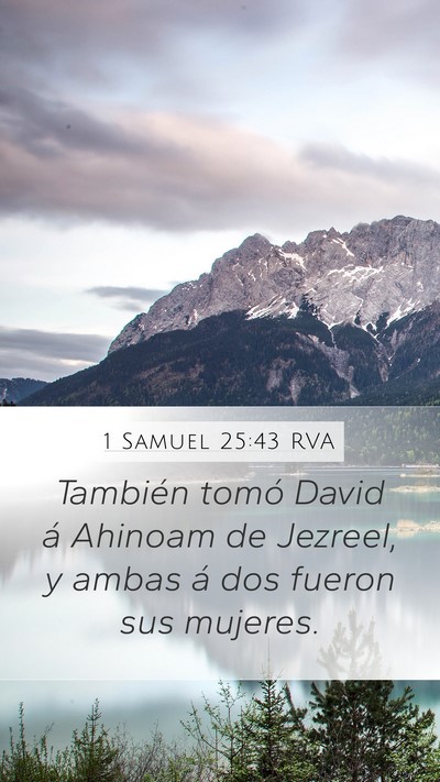 1 Samuel 25:43 RVA Mobile Phone Wallpaper - También tomó David á Ahinoam de Jezreel, y - Mobile Bible Verse Wallpaper