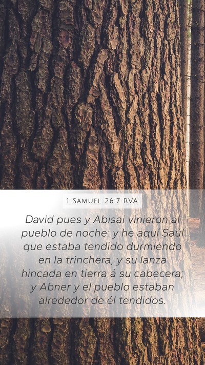 1 Samuel 26:7 RVA Mobile Phone Wallpaper - David pues y Abisai vinieron al pueblo de noche: - Mobile Bible Verse Wallpaper