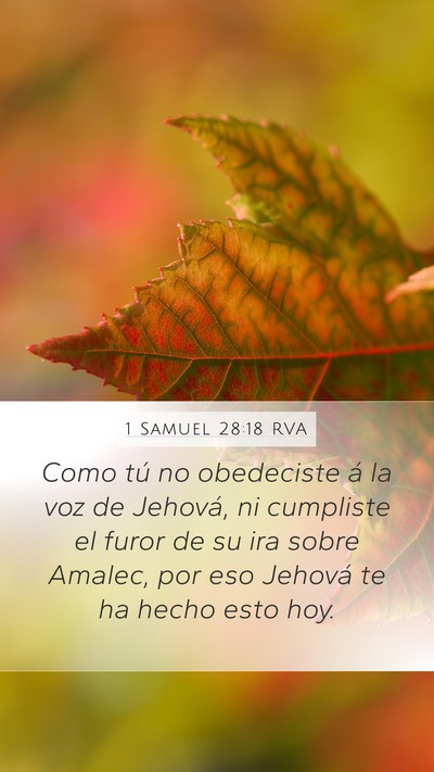 1 Samuel 28:18 RVA Mobile Phone Wallpaper - Como tú no obedeciste á la voz de Jehová, ni - Mobile Bible Verse Wallpaper