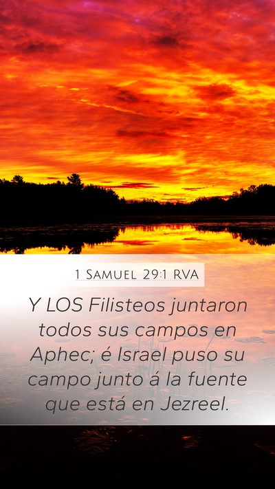 1 Samuel 29:1 RVA Bible Verse Image