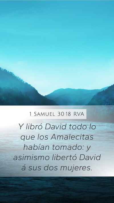 1 Samuel 30:18 RVA Bible Verse Image