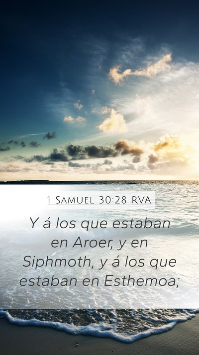 1 Samuel 30:28 RVA Bible Verse Image