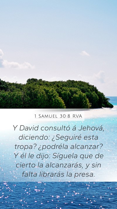 1 Samuel 30:8 RVA Bible Verse Image