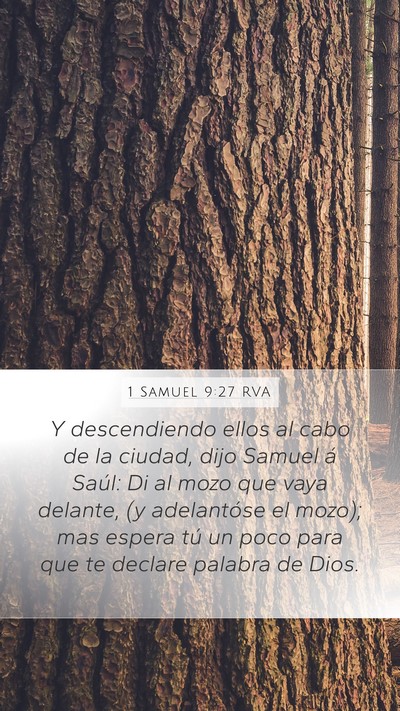 1 Samuel 9:27 RVA Bible Verse Image