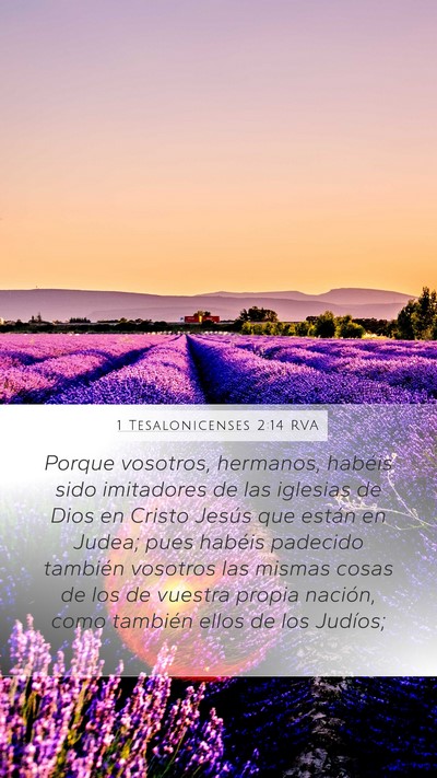 1 Tesalonicenses 2:14 RVA Bible Verse Image