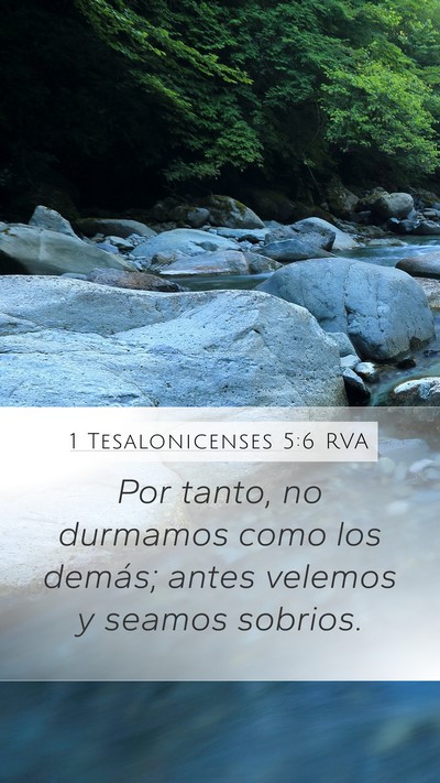 1 Tesalonicenses 5:6 RVA Bible Verse Image