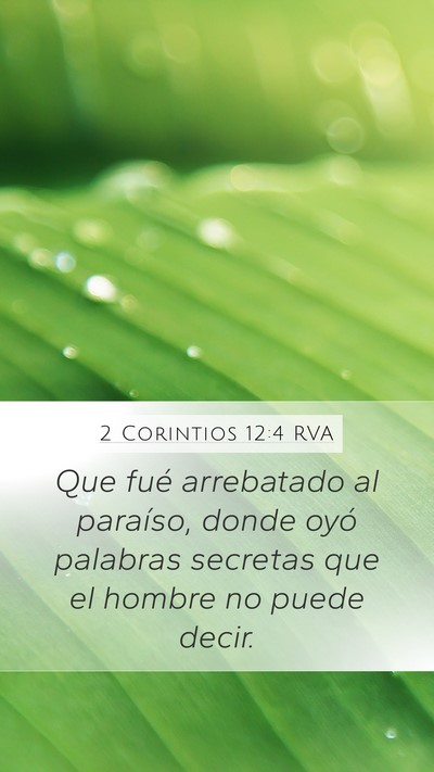 2 Corintios 12:4 RVA Mobile Phone Wallpaper - Que fué arrebatado al paraíso, donde oyó - Mobile Bible Verse Wallpaper