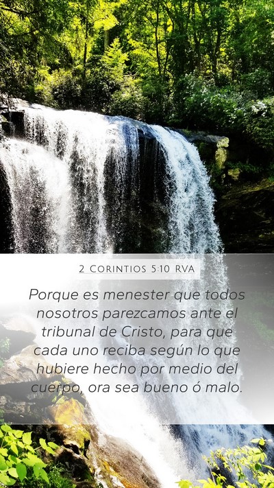 2 Corintios 5:10 RVA Bible Verse Image