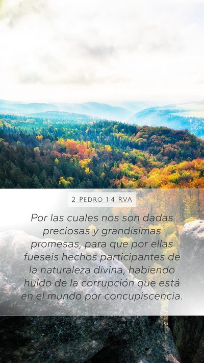 2 Pedro 1:4 RVA Bible Verse Image
