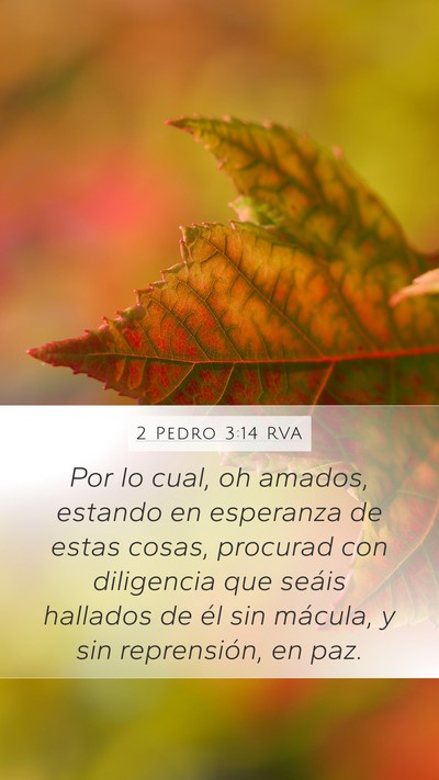 2 Pedro 3:14 RVA Bible Verse Image