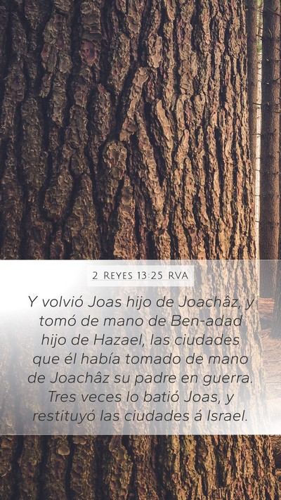 2 Reyes 13:25 RVA Bible Verse Image