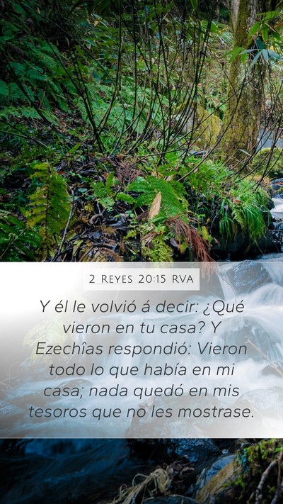 2 Reyes 20:15 RVA Mobile Phone Wallpaper - Y él le volvió á decir: ¿Qué vieron en tu - Mobile Bible Verse Wallpaper