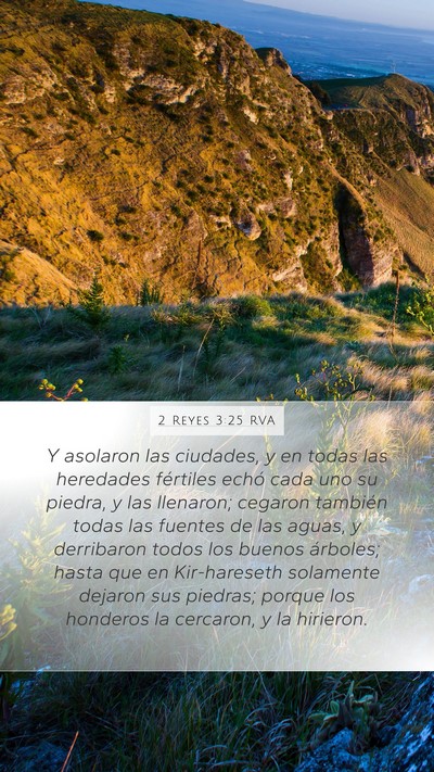 2 Reyes 3:25 RVA Bible Verse Image