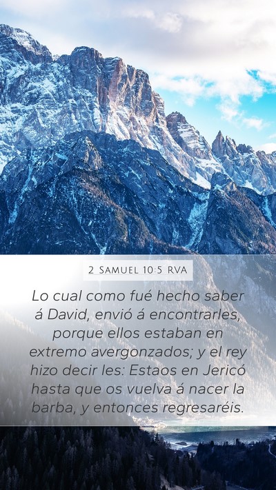 2 Samuel 10:5 RVA Mobile Phone Wallpaper - Lo cual como fué hecho saber á David, envió á - Mobile Bible Verse Wallpaper