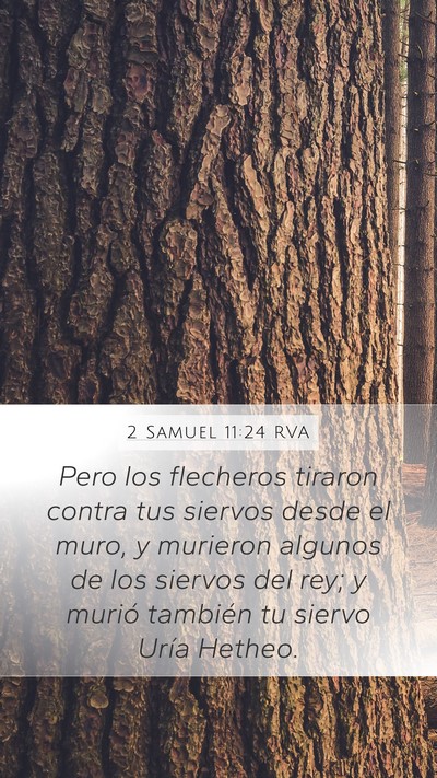 2 Samuel 11:24 RVA Bible Verse Image