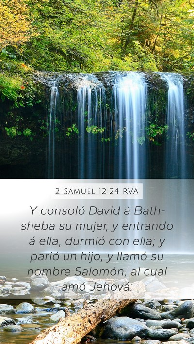 2 Samuel 12:24 RVA Mobile Phone Wallpaper - Y consoló David á Bath-sheba su mujer, y - Mobile Bible Verse Wallpaper