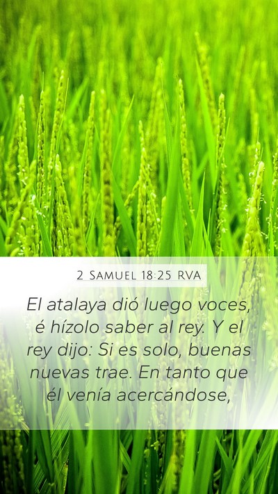 2 Samuel 18:25 RVA Mobile Phone Wallpaper - El atalaya dió luego voces, é hízolo saber al - Mobile Bible Verse Wallpaper