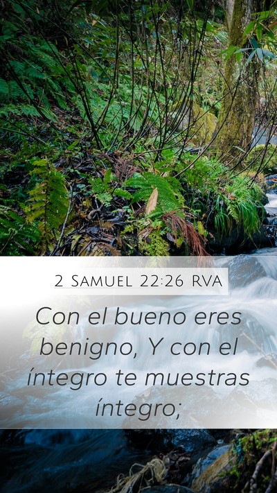 2 Samuel 22:26 RVA Bible Verse Image