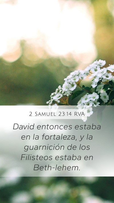 2 Samuel 23:14 RVA Bible Verse Image