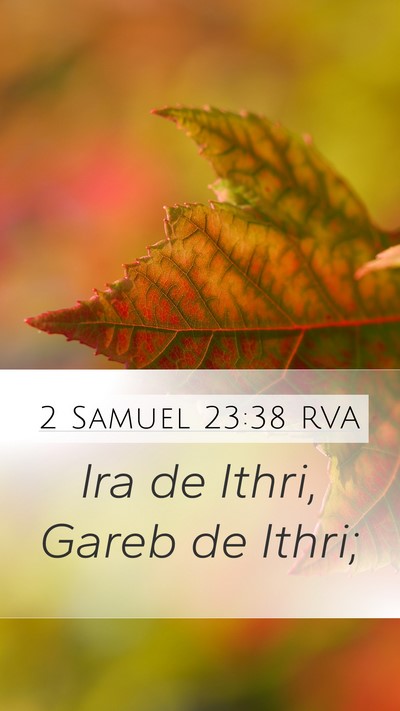 2 Samuel 23:38 RVA Bible Verse Image
