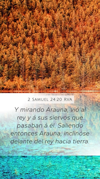 2 Samuel 24:20 RVA Bible Verse Image