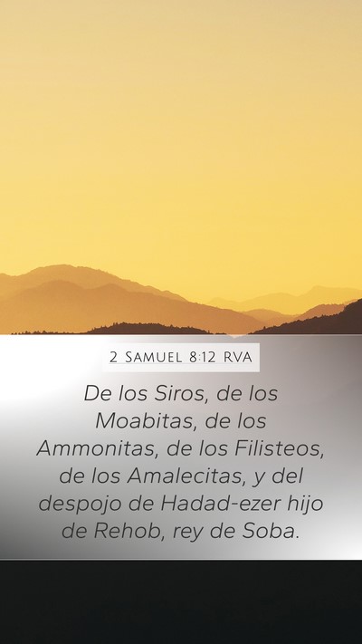 2 Samuel 8:12 RVA Bible Verse Image