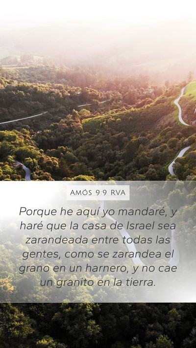 Amós 9:9 RVA Bible Verse Image