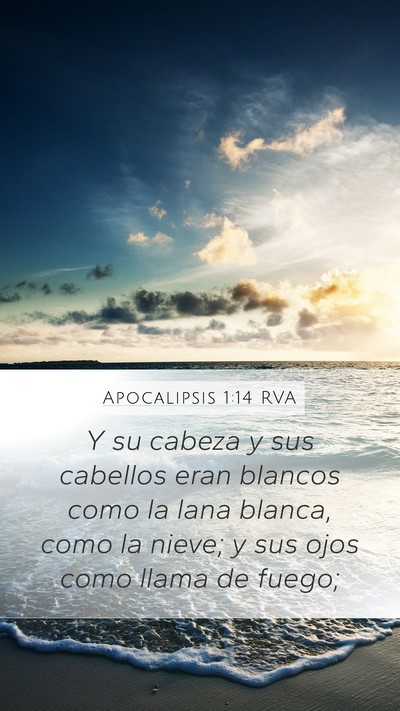 Apocalipsis 1:14 RVA Bible Verse Image