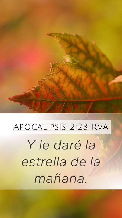 Apocalipsis 2:28 RVA Bible Verse Image