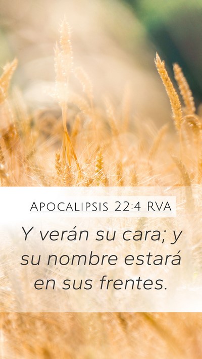 Apocalipsis 22:4 RVA Bible Verse Image