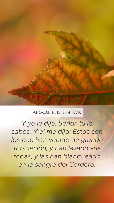 Apocalipsis 7:14 RVA Bible Verse Image