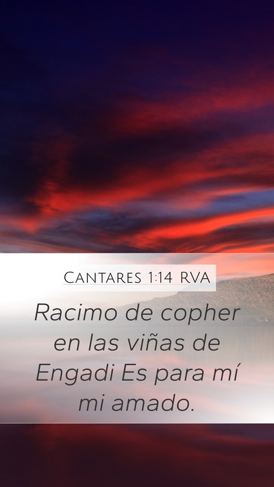 Cantares 1:14 RVA Bible Verse Image