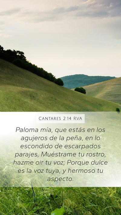 Cantares 2:14 RVA Bible Verse Image
