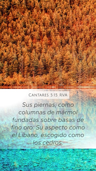 Cantares 5:15 RVA Bible Verse Image