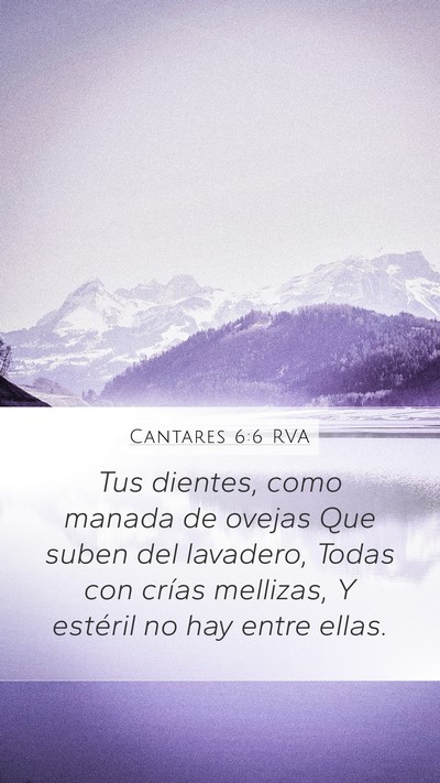 Cantares 6:6 RVA Bible Verse Image