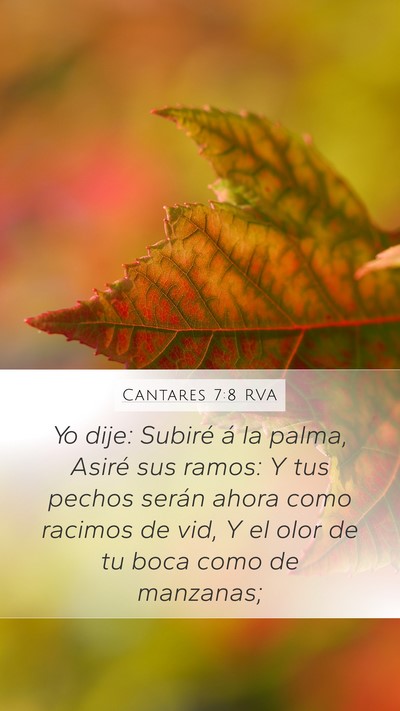 Cantares 7:8 RVA Bible Verse Image